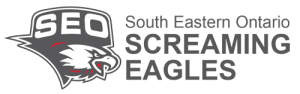 SEO Screaming Eagles